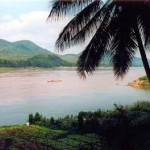 CambogiaD02_g