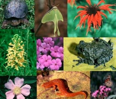 biodiversita biodiversita