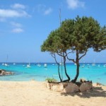Cercasi segretaria per Formentera