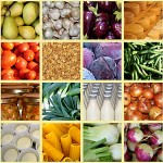 Presentato il Rapporto 2009 sulle produzioni agroalimentari italiane