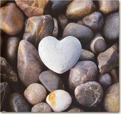 cuore1