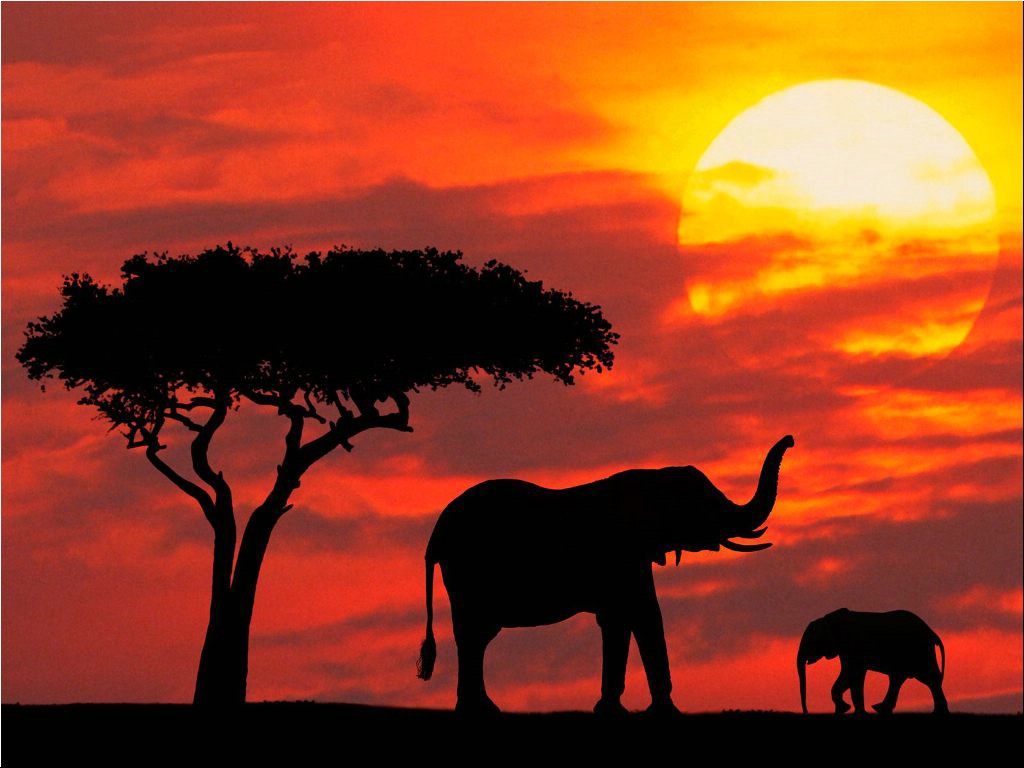 kenya
