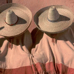 Borse di studio in Messico