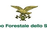 Bando di concorso per la scelta di opere d’arte per varie caserme del Corpo Forestale dello Stato