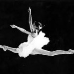 Programma di borse di studio Danceweb 2011