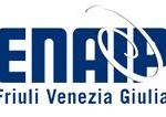 All’Enaip corsi post-laurea