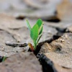Contributi Europei per le PMI con progetti “Green”