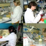 Udine, Gorizia e Nova Gorica si preparano alla “Notte europea dei ricercatori” 2011