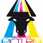 PICTURIN 2011