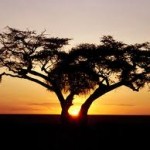 IL 28 OTTOBRE CONVEGNO ” LA COOPERAZIONE CON LA MACROREGIONE ADRIATICO-IONICA E L’AFRICA SUB-SAHARIANA – DUE ESPERIENZE DELL’ALTO FRIULI: UN’INFERMIOERA LAICA (BURUNDI) ED UN IMPRENDITORE (SIERRA LEONE)” DELLA CASA PER L’EUROPA!