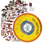 OLIMPIADI DI SCIENZE NATURALI PER LE SCUOLE SUPERIORI