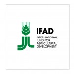Stage presso IFAD (International Fund for Agricultural Development)