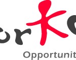 Prepararsi alla ricerca del lavoro: ecco le opportunità offerte da Workopp Spa (Udine)