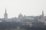 BORSE DI STUDIO PER L’ESTONIA