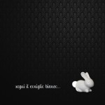 SEGUI IL CONIGLIO BIANCO…