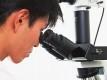 ResearchItaly: nuovo portale sulla ricerca!