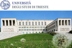 universita-di-trieste universita-di-trieste