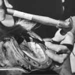 Mostra ‘I mestieri’