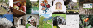 concorso_letterario_dedic