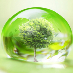 Un’opportunità per tesi su temi ambientali