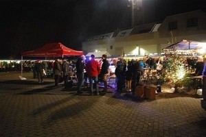Belgio_Volontariato-300x200