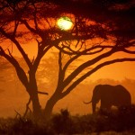 Campo di Volontariato in Kenya dall’8 al 22 agosto 2015