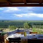 Ecobnb: il nuovo portale per il turismo sostenibile