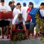 Campi della legalità 2015