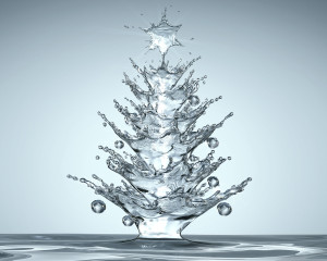 foto p. 8 - 3 albero_natale_acquatico