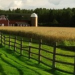 Progetto approvato SVE in Finlandia