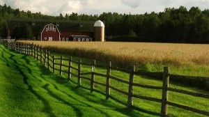 agri