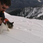 Soccorso in valanga, in Canada si usano i gatti