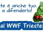Il WWF Trieste cerca giovani per due progetti di mobilità giovanile ERASMUS+