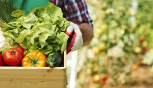 agroalimentare