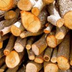 Legno con l’etichetta dal bosco al camino