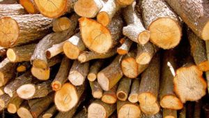 legno+sostenibile