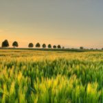 Al Parco del Rivellino di Osoppo arriva l’Allaria Eco Village