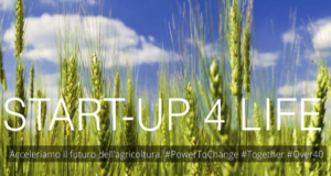 startup4life