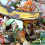 Approvata la legge contro lo spreco alimentare