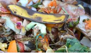 spreco-alimentare