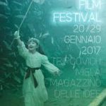Trieste Film Festival: cercasi volontari!