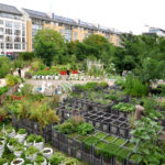 Bando per l’assegnazione di 8 orti urbani udinesi