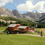 Nuove risorse e opportunità per le malghe con il progetto MADE