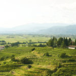 Il collio transfrontaliero si candida ad entrare nella “tentative list” UNESCO