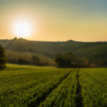 Mirabilia: alla scoperta dei tesori nascosti del Friuli Collinare