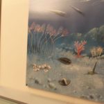 Ad Arta Terme la mostra permanente del fossile