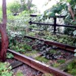 High Line, era uno scalo ferroviario, oggi è un parco giardino pensile