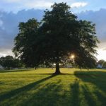 La Green economy? Sarà il più grande datore di lavoro dei prossimi anni