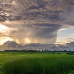 Cambiamento climatico: quali sono gli obiettivi della COP23?