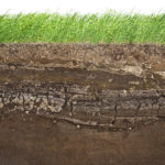 Rigenerazione post-industriale: a Mirafiori si sperimenta la creazione di un “nuovo terreno”